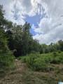 0 County Road 454 - Photo 19