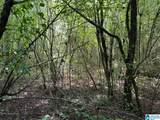 0.9 Acres Branch Cove - Photo 2