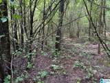 0.9 Acres Branch Cove - Photo 3