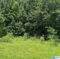 0.9 Acres Branch Cove - Photo 4
