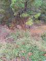0 Armstrong Loop - Photo 1