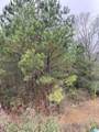 0 Armstrong Loop - Photo 3