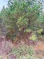 0 Armstrong Loop - Photo 4