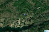 275 Big Y Cove Loop - Photo 2