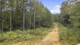 442 Davis Street - Photo 18