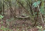 442 Davis Street - Photo 23