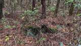 442 Davis Street - Photo 24