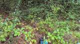 442 Davis Street - Photo 25