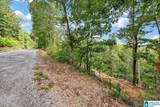 Lot 22 County Road 875 - Photo 4