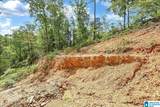 Lot 22 County Road 875 - Photo 6