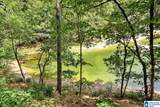 Lot 22 County Road 875 - Photo 7