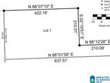 0 Peterson Avenue - Photo 3
