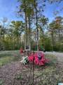 1721 Westover Road - Photo 37