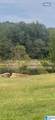 136 Lillie Bell Lane - Photo 3