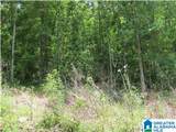 LOT # 24 Mandy Drive - Photo 3