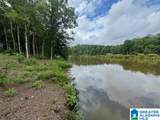 Lot 9 County Road 499 - Photo 1
