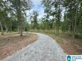 Lot 9 County Road 499 - Photo 2
