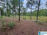 Lot 9 County Road 499 - Photo 3