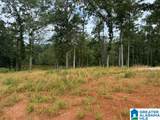 Lot 9 County Road 499 - Photo 5