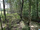 0 County Road 246 - Photo 11