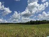 0 County Road 246 - Photo 14