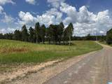 0 County Road 246 - Photo 15