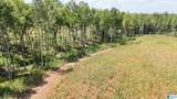 0 County Road 246 - Photo 19