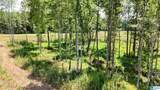 0 County Road 246 - Photo 22