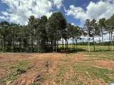 0 County Road 246 - Photo 4