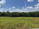 0 County Road 246 - Photo 6