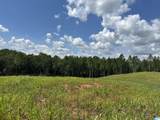 0 County Road 246 - Photo 7