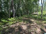 0 County Road 246 - Photo 8