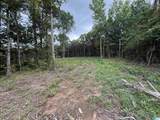 55 Mountain Brow Drive - Photo 2
