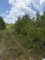  County Road 228 - Photo 15