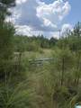  County Road 228 - Photo 16