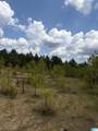 County Road 228 - Photo 17