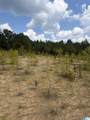  County Road 228 - Photo 18