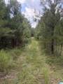  County Road 228 - Photo 19