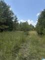  County Road 228 - Photo 20