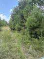  County Road 228 - Photo 21