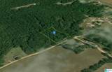 1100 County Road 69 - Photo 2