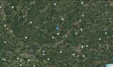 1100 County Road 69 - Photo 4