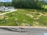 Lot 20 Ridgewood Drive - Photo 10