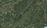 1695 Lookout Mtn Drive - Photo 4