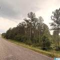 0 County Road 40 - Photo 44