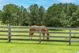 861 Shire Valley Farms - Photo 6