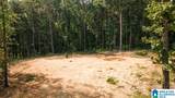 Tract 2 343 County Road 892 - Photo 13