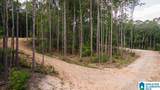 Tract 2 343 County Road 892 - Photo 18