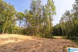 Tract 2 343 County Road 892 - Photo 19