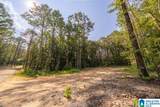 Tract 2 343 County Road 892 - Photo 20